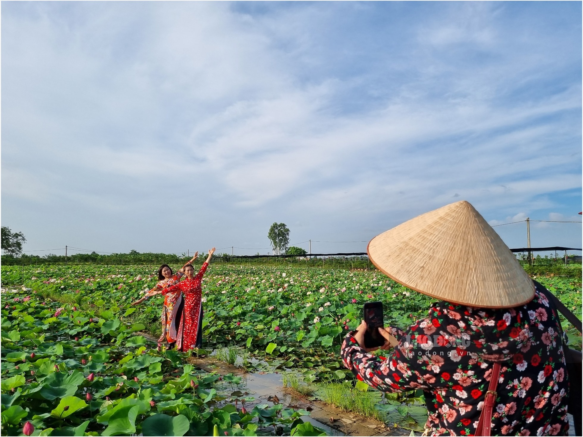 Khách tham quan chụp ảnh cùng hoa sen
